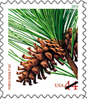 Holiday Evergreen Stamp